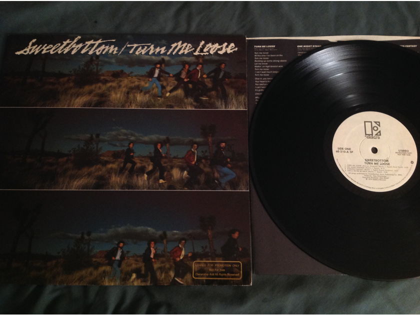 Sweetbottom Turn Me Loose Elektra Records White Label Promo LP