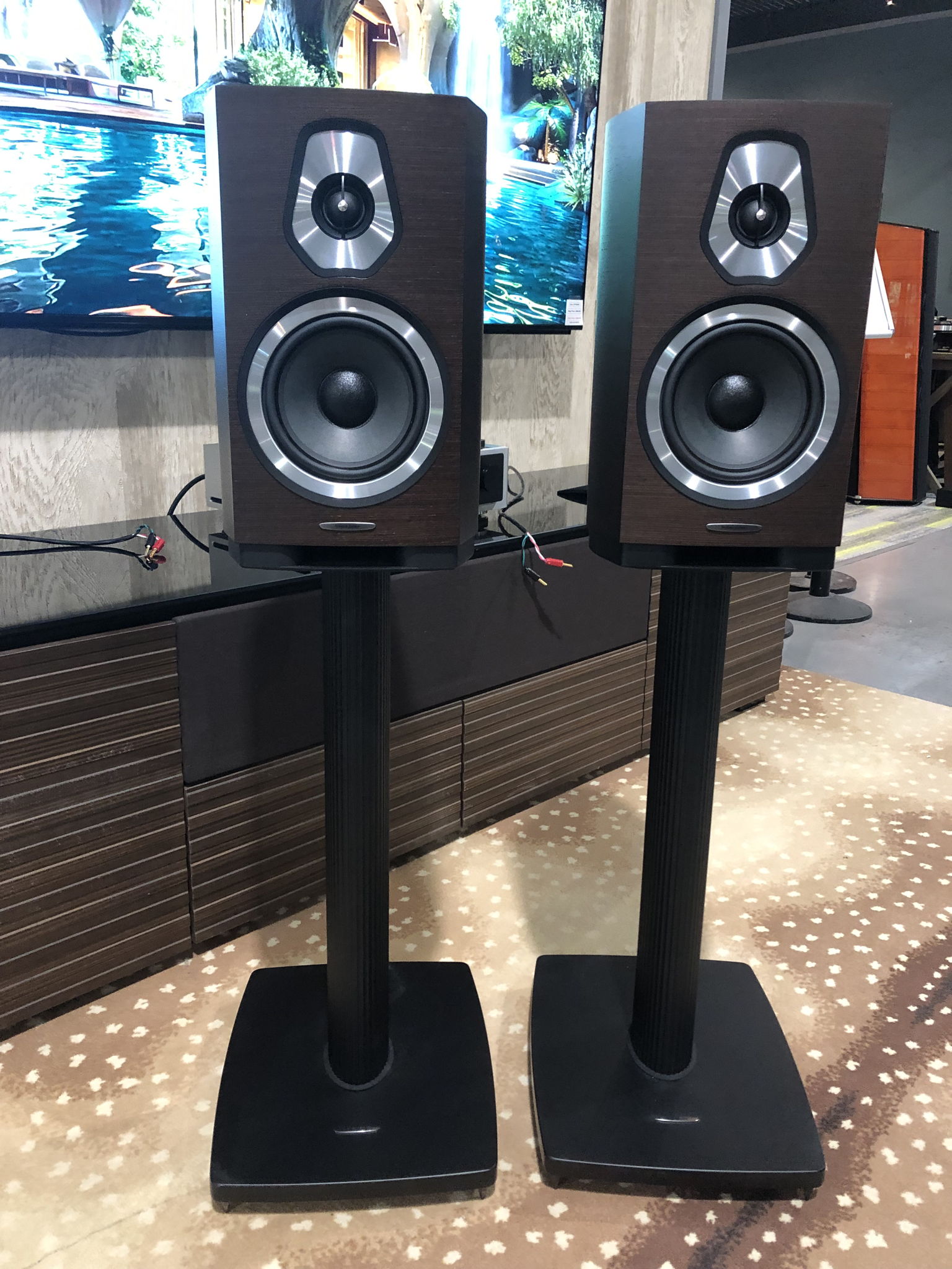 Sonus Faber Sonetto II / With Matching Stands