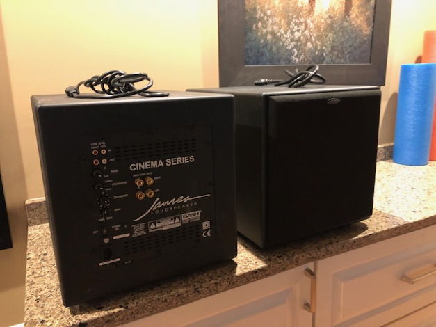 Two James Subwoofers: Cinema Series