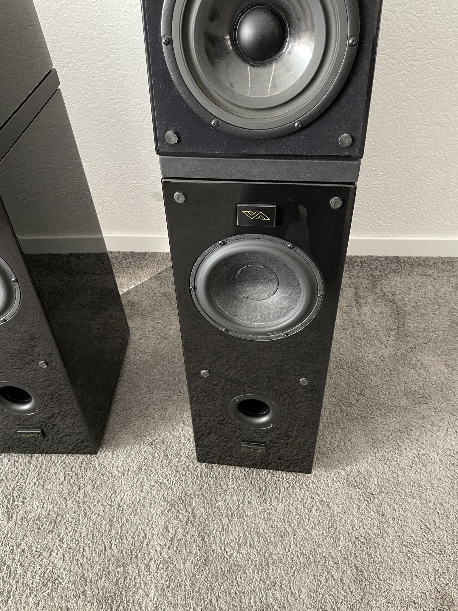 Verity Audio Rienzi speakers in black 2