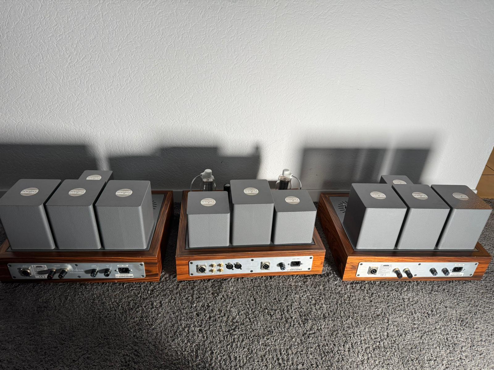 Thivan Labs Silver 845 tube integrated amplifier 12