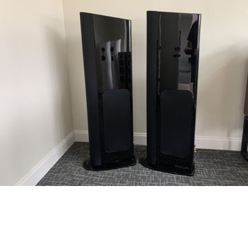 GoldenEar Technology Triton One.R Speakers - Excellent ...