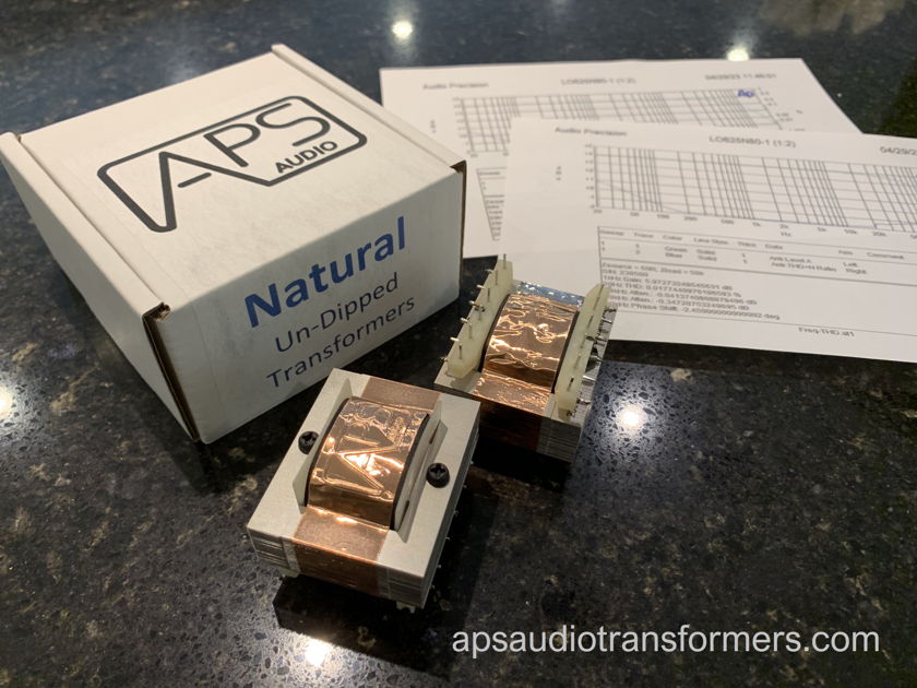 APS Audio R2 Nickel Transformers for the PS Audio Directstream DAC Mk1