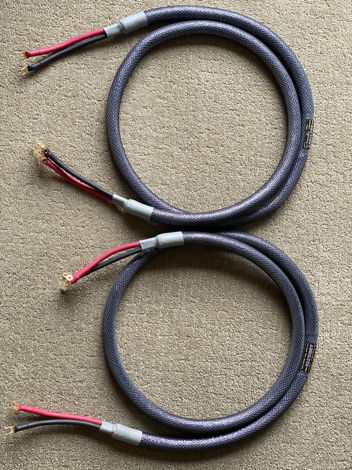 Acoustic Zen Absolute speaker cables, 8 feet.