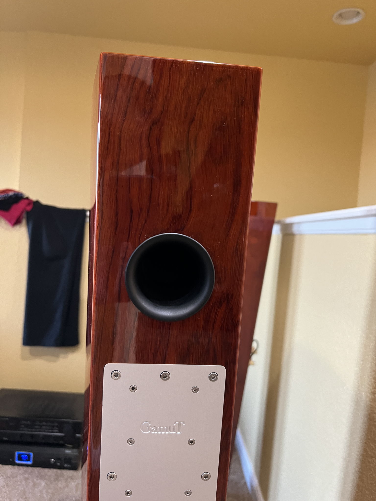 GamuT Audio L-5 Speakers 10