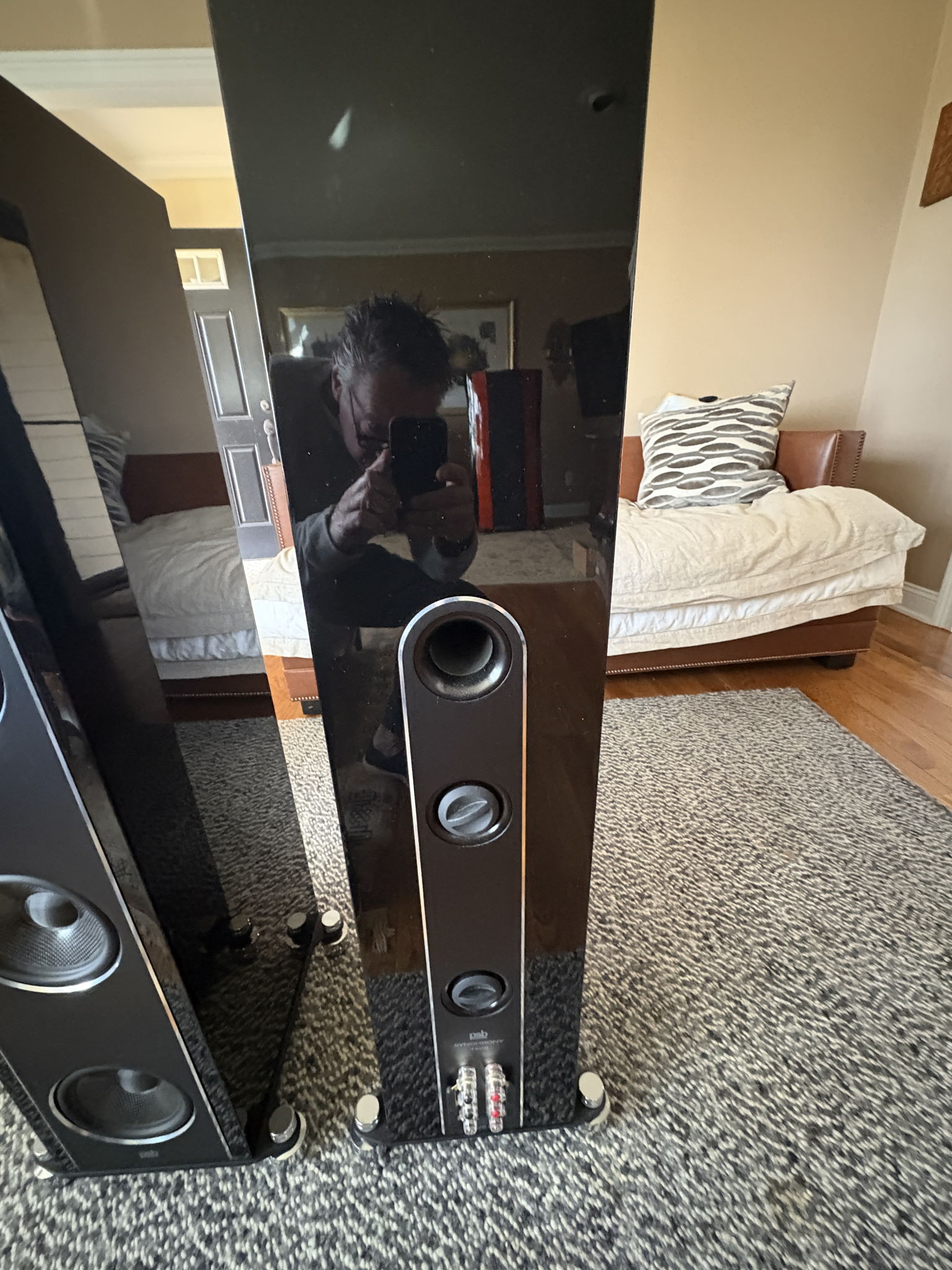 PSB Synchrony T600 10