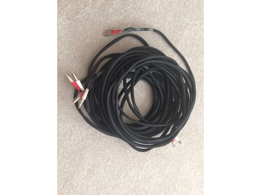 RAM electronics 39'LONG interconnect cables, RCA terminations