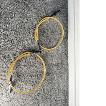 Analysis Plus Inc. Golden Oval XLR in 1m