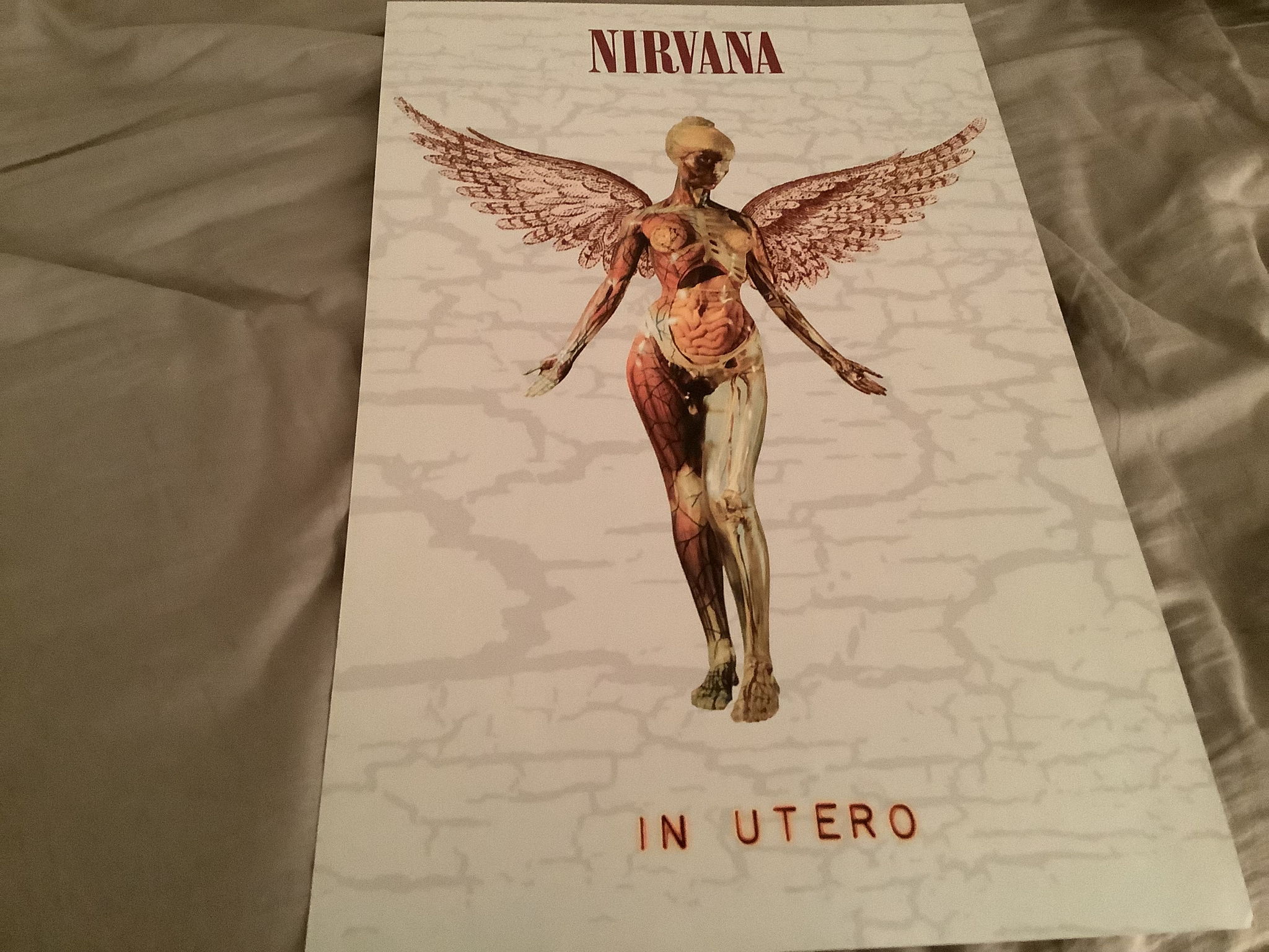 Nirvana In Utero 30th Anniversary Promo Do... For Sale | Audiogon