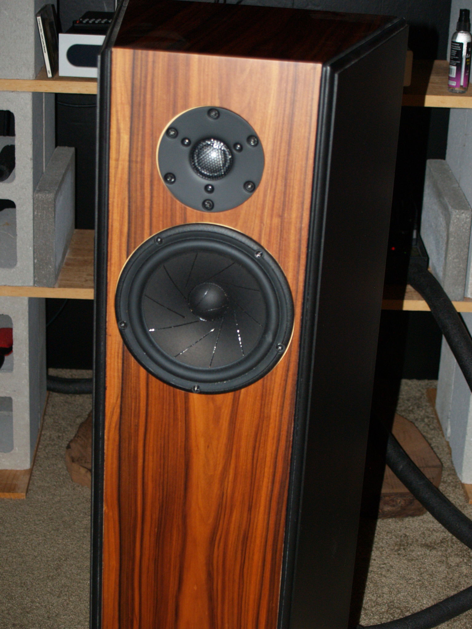 whileicanstillhear's System
