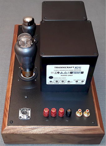 TriodeCraft 300B-SE Audio Unit Rear View