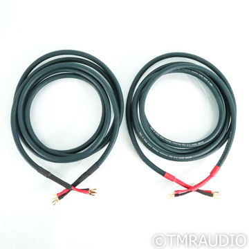 DH Labs Silver Sonic Q-10 Speaker Cables; 3m Pair (79576)