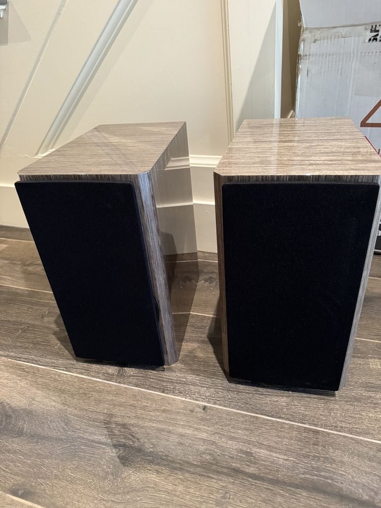 Dynaudio Special Anniversary 40 Grey Birch high Gloss 2