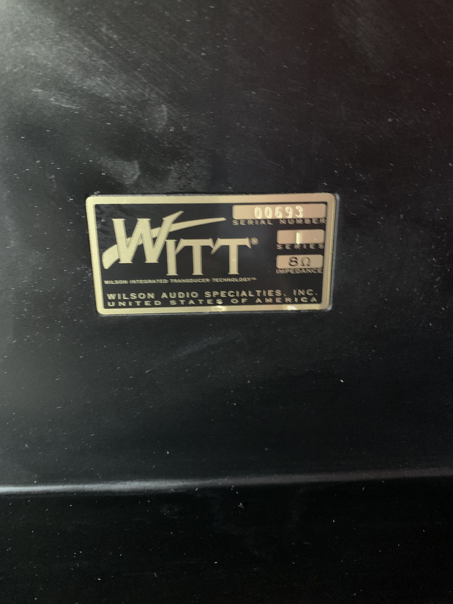 Wilson Audio Witt 6