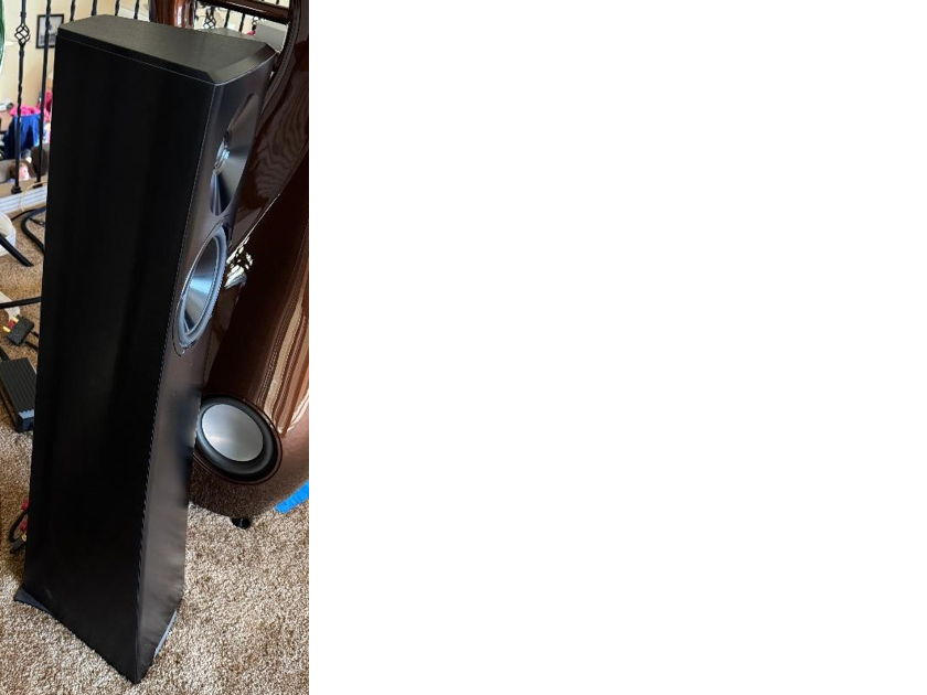 YG Acoustics Carmel 2 Speakers