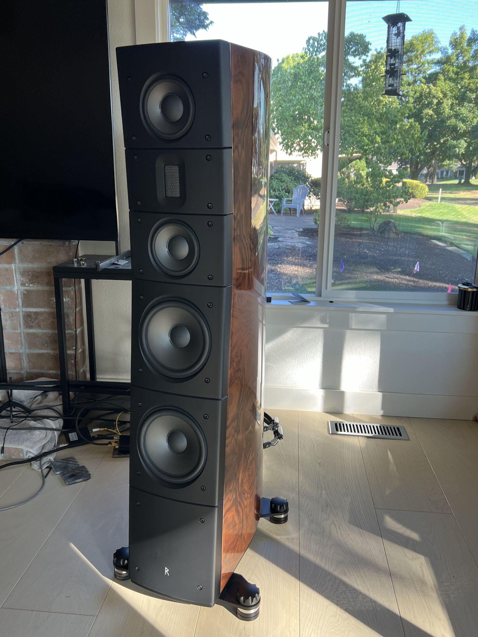 Raidho Acoustics TD 3.8's 2