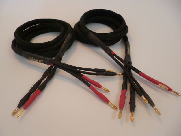 Schmitt Custom Audio Reference 100 4x10 AWG Bi-wire Sp...