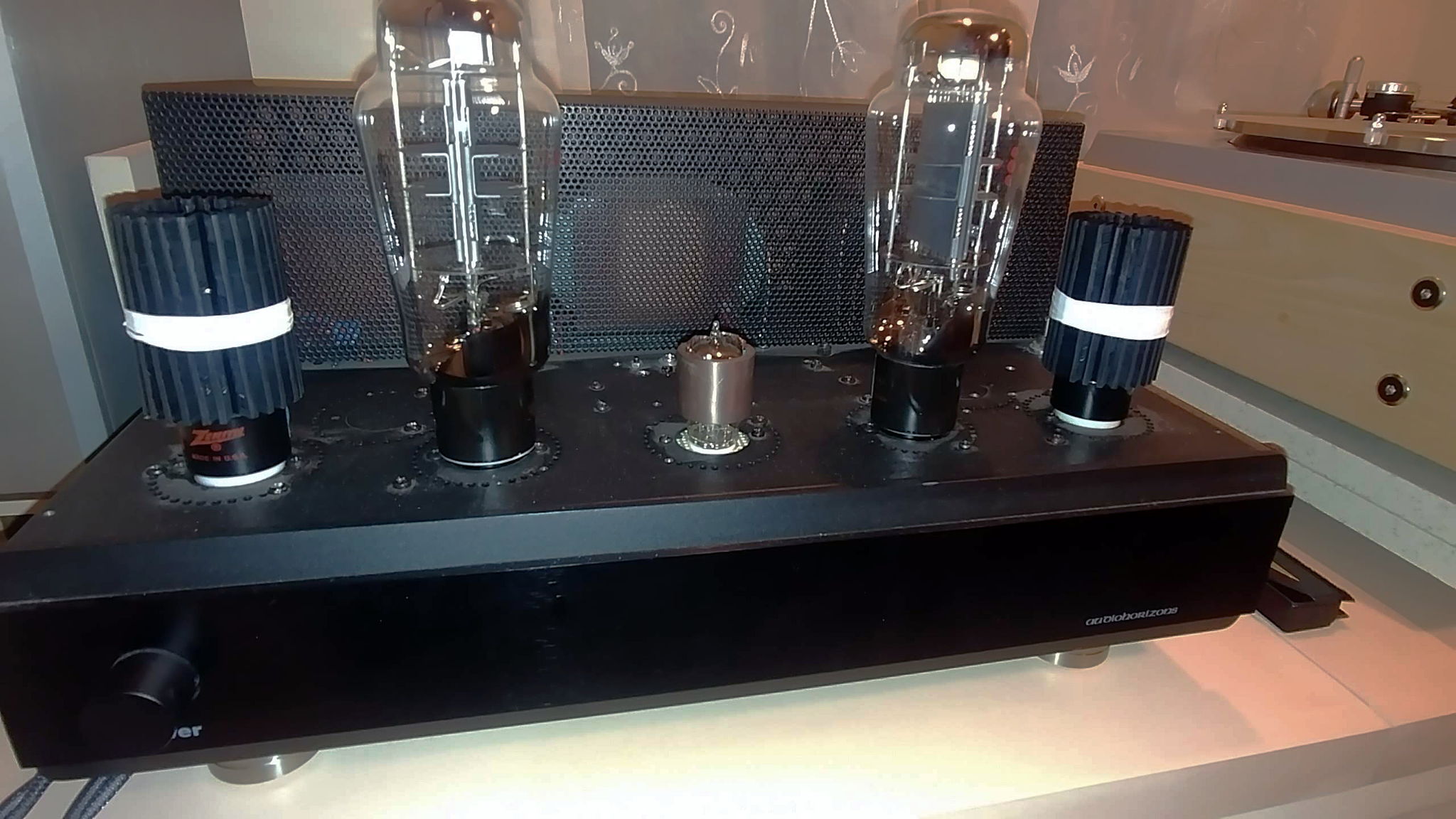 Audio Horizons 300B power amplifier face view