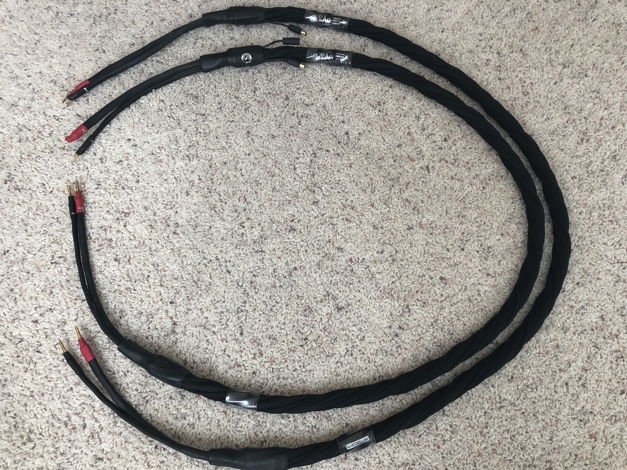 Synergistic Research ELEMENT CTS speaker cable 6ft spea...