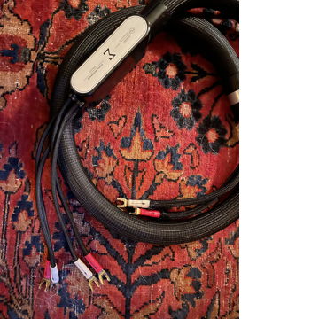 Shunyata Research Sigma Speaker cable bi-wire