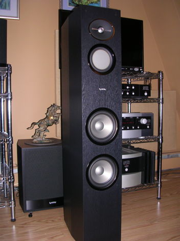 Infinity R253 Reference Series