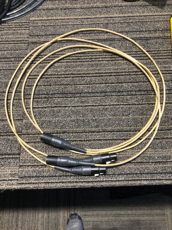 Analysis Plus Inc. Gold Oval Micro Interconnects