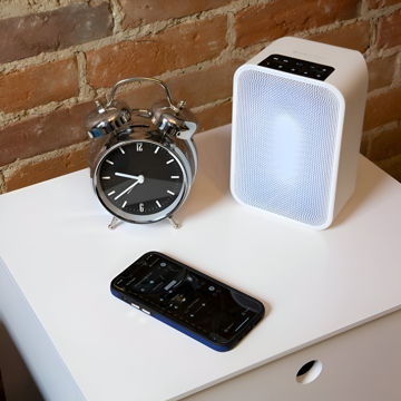 Bluesound Pulse Flex 2i Portable Wireless Streaming Spe...