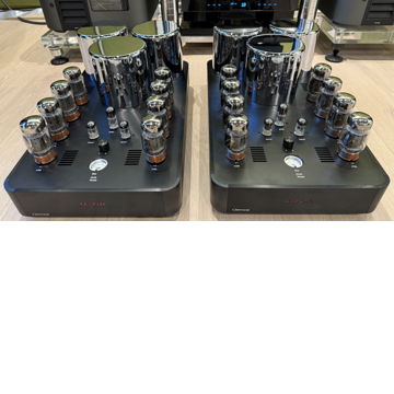 Ayon Audio Orthos II Tube Monoblock Amplifiers EXCELLENT