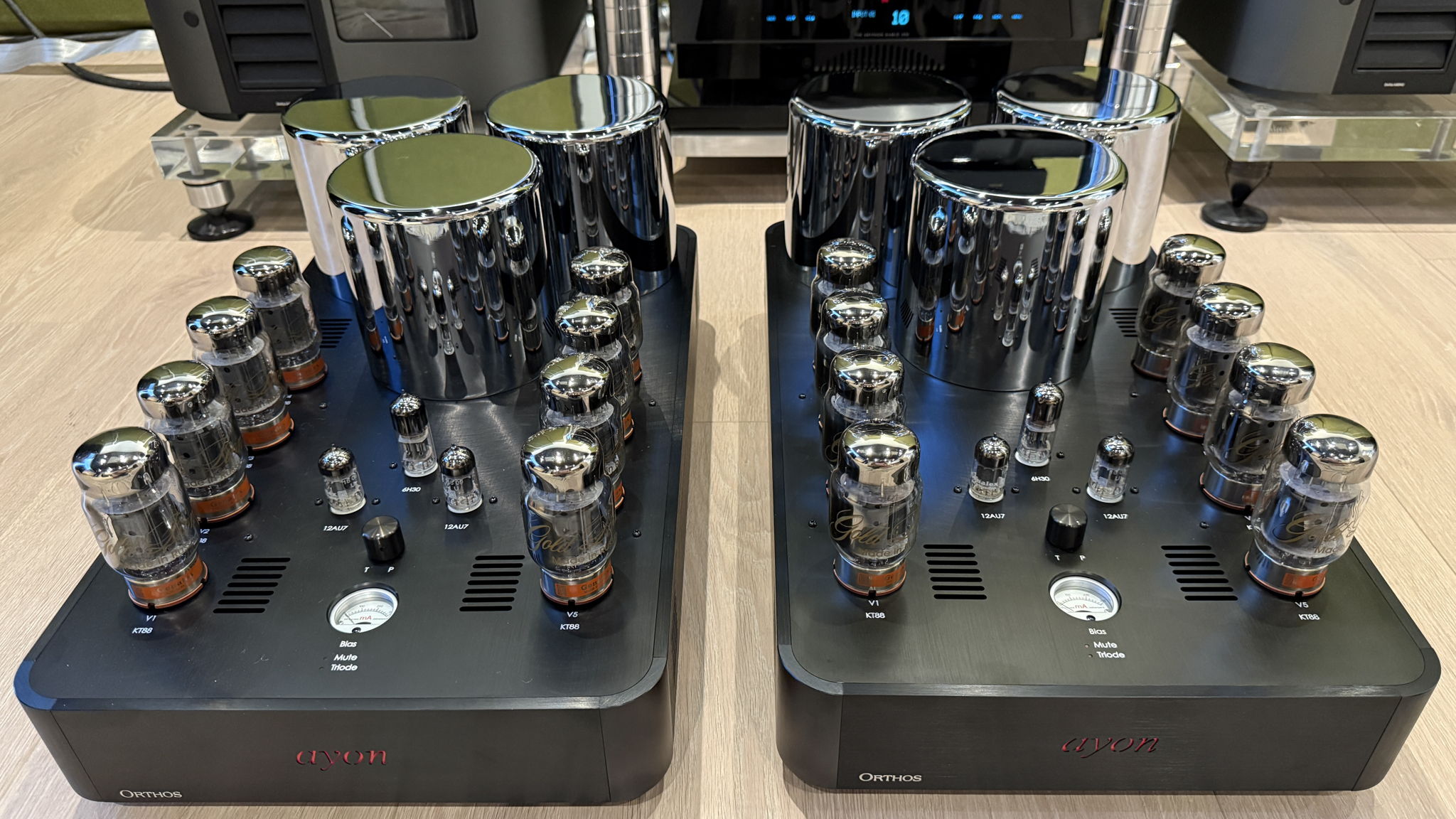 Ayon Audio Orthos II Tube Monoblock Amplifiers EXCELLENT