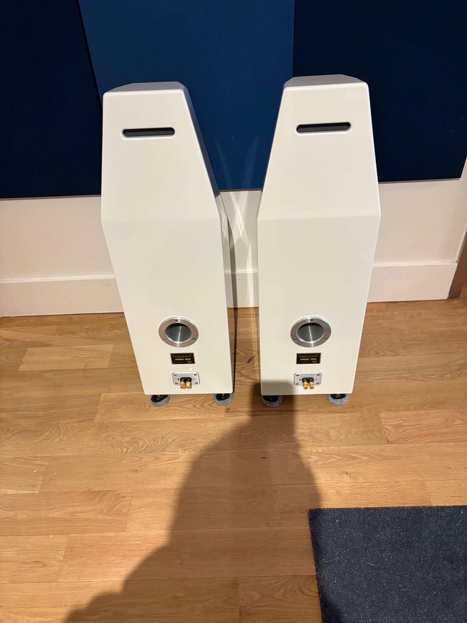 Wilson Certified Authentic TM Never Titled Sabrina X 2