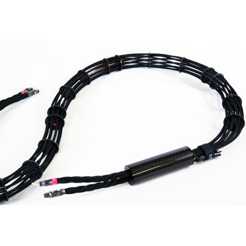 Synergistic Research SRX Speaker Cables - A New World Gold Standard
