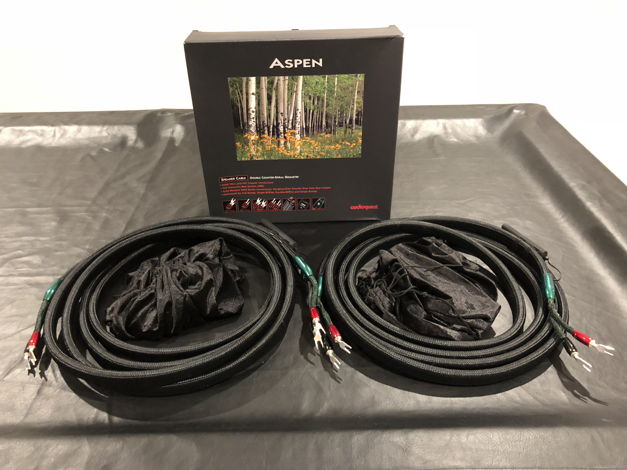 Aspen 19ft speaker cable pair