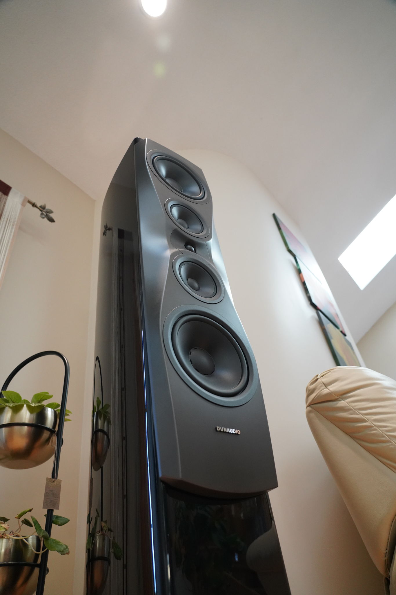 Dynaudio Confidence 60 5