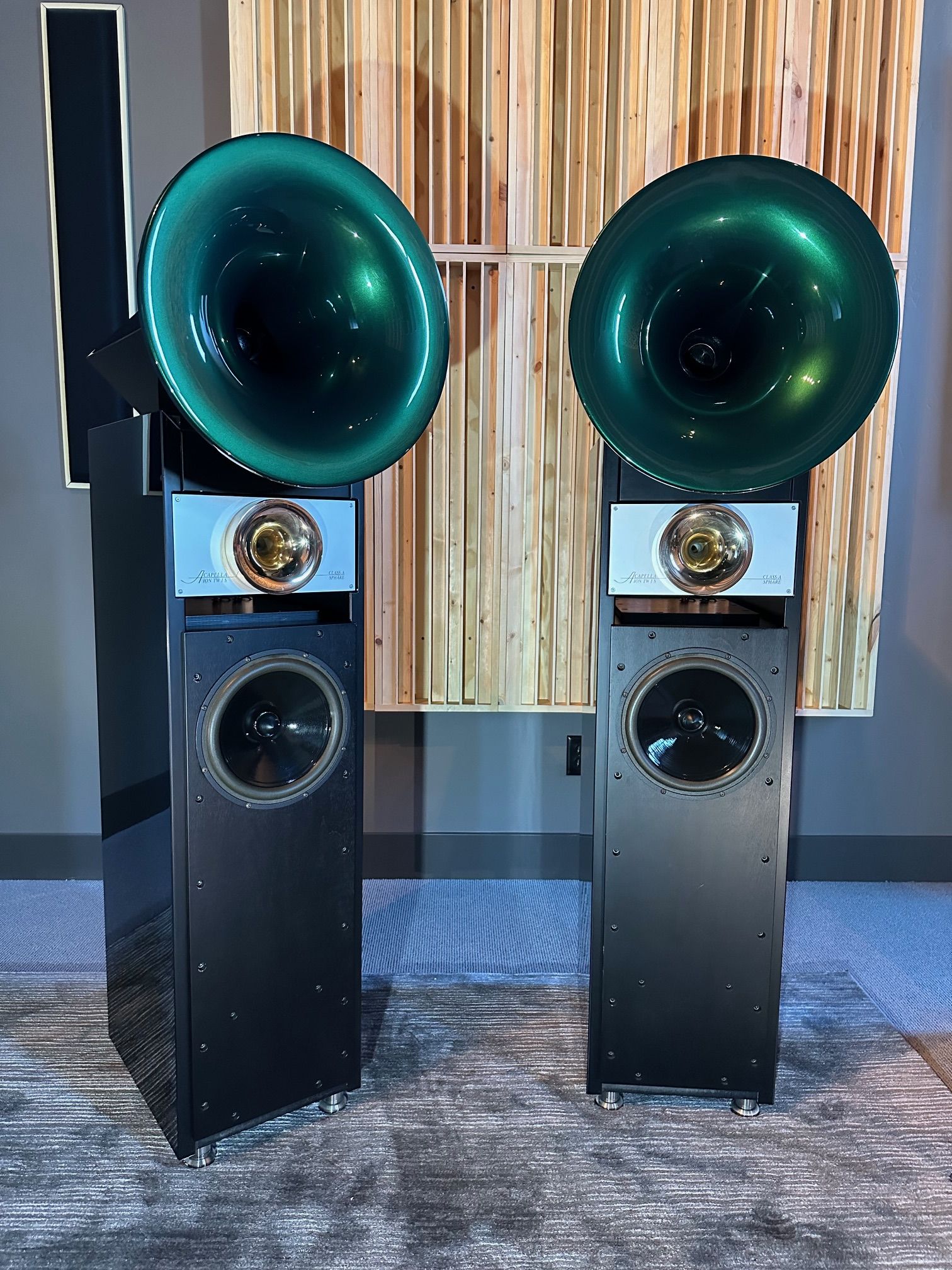 Acapella Audio Arts High Violon Suboctave Horn Speakers... 11