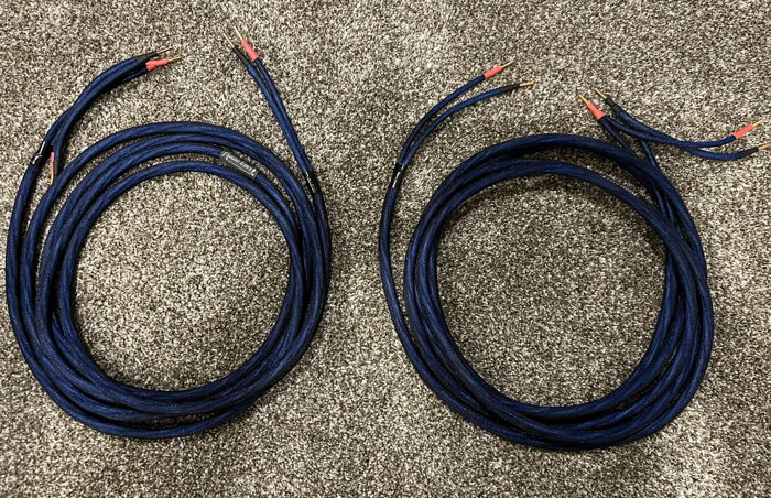 Audio Envy SP9 Speaker Cables - 16' Bi-wired