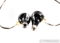 FitEar F111 In-Ear Headphones; F-111; IEM (27578) 4