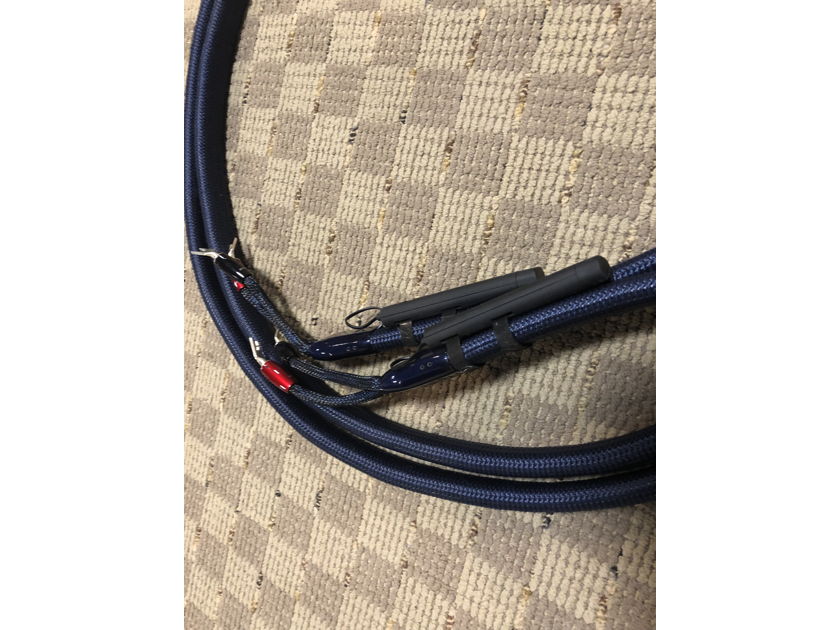 AudioQuest Wildwood Speaker cable 10ft S>S