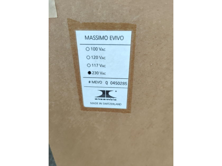 Ensemble Massimo Evivo power amplifier from 2021