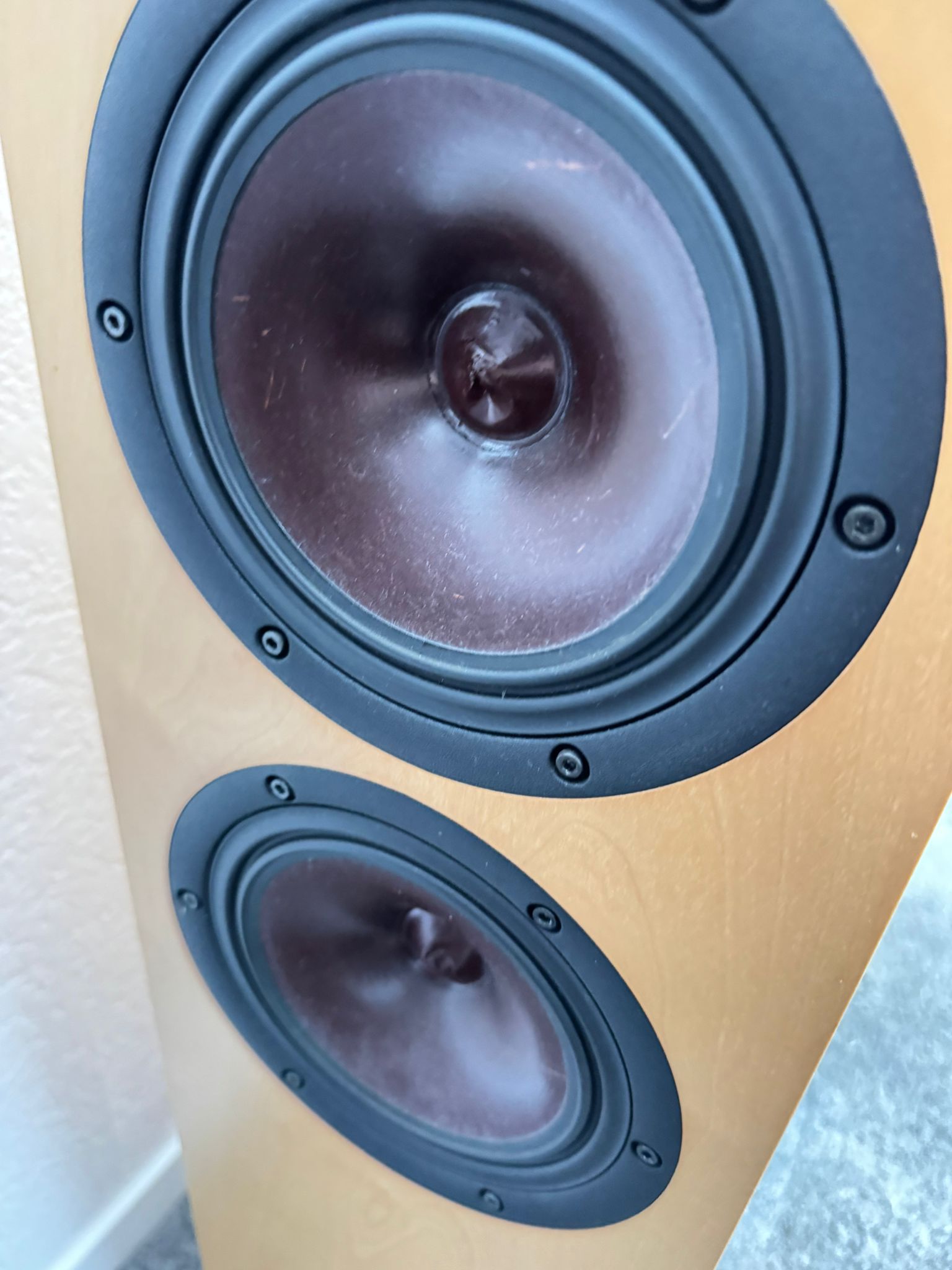 Odeon Tosca S speakers in maple 4