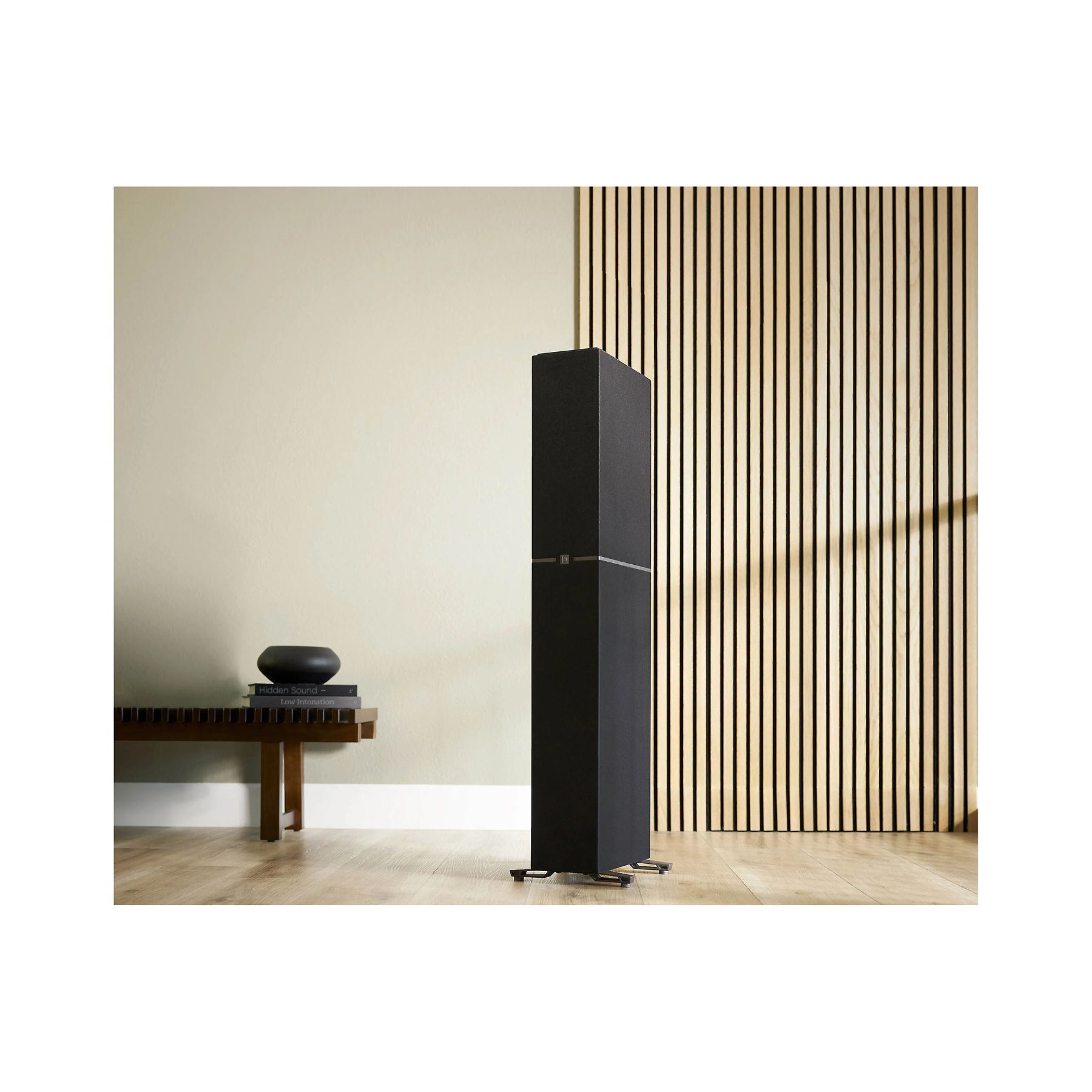 Definitive Technology Dymension DM60 Mid-Size Bipolar T... 7