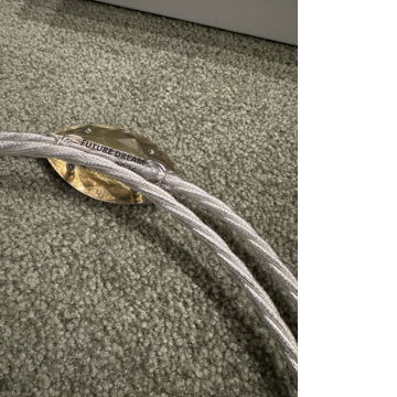 Crystal Cable Future Dream 1.5M power cord