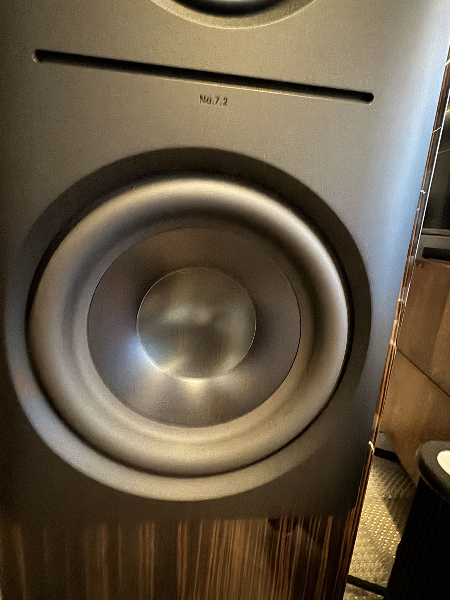 Lansche Audio No 7.2 - PLASMA tweeter 6