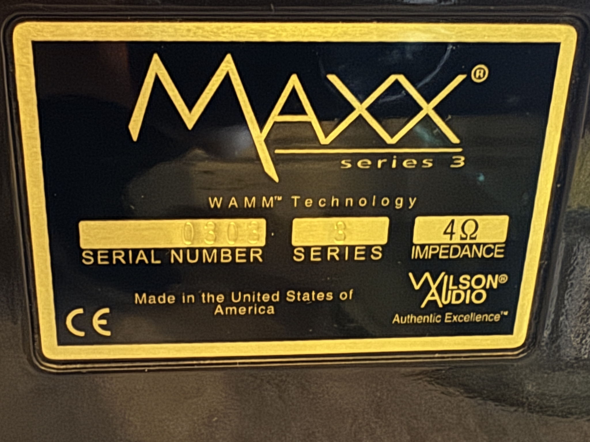 Wilson Audio Certified Authentic Pre-Owned MAXX 3 11