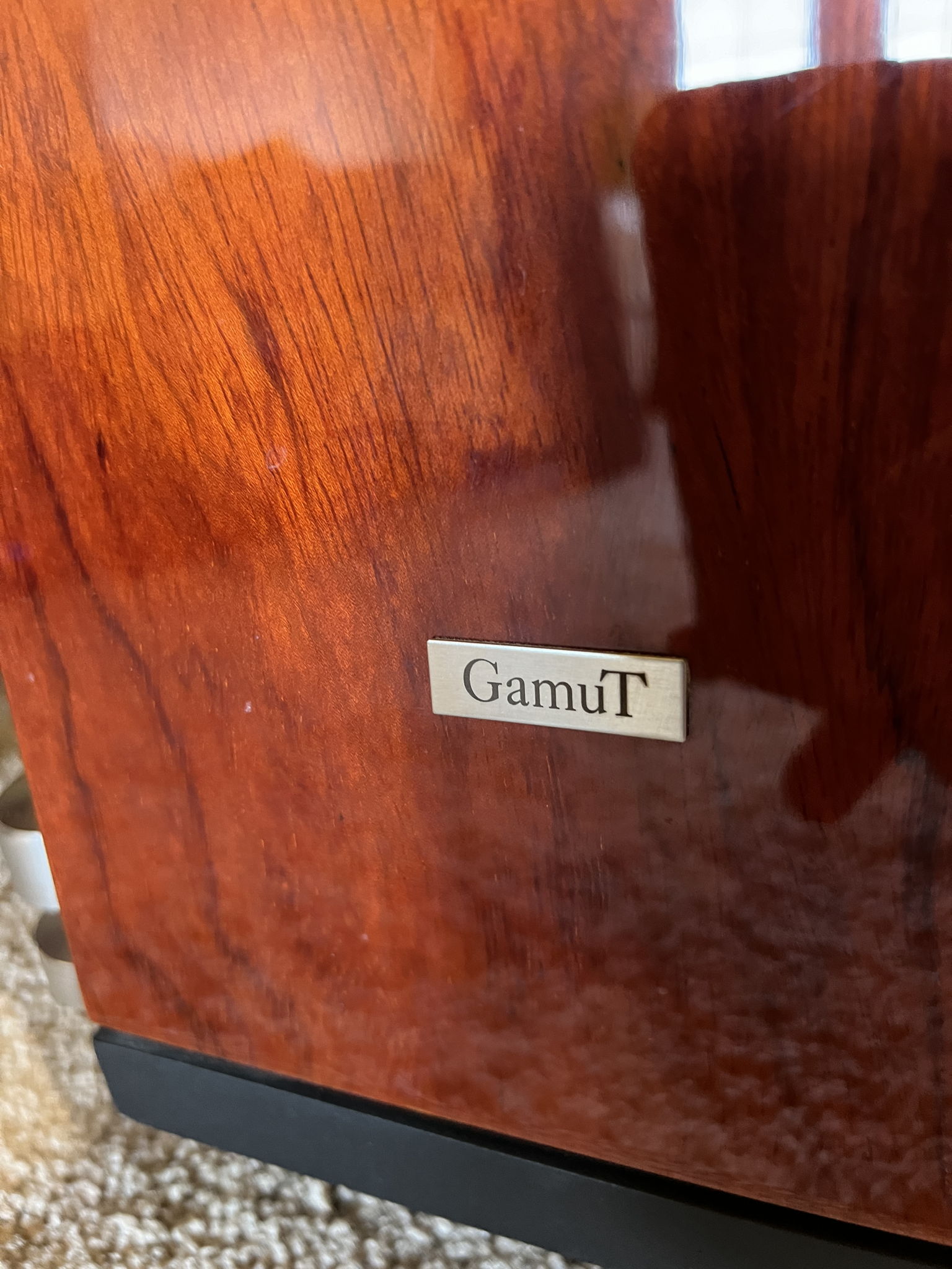 GamuT Audio L-5 Speakers 8