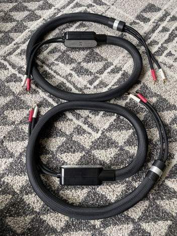 Shunyata Research Sigma V1 Speaker Cables