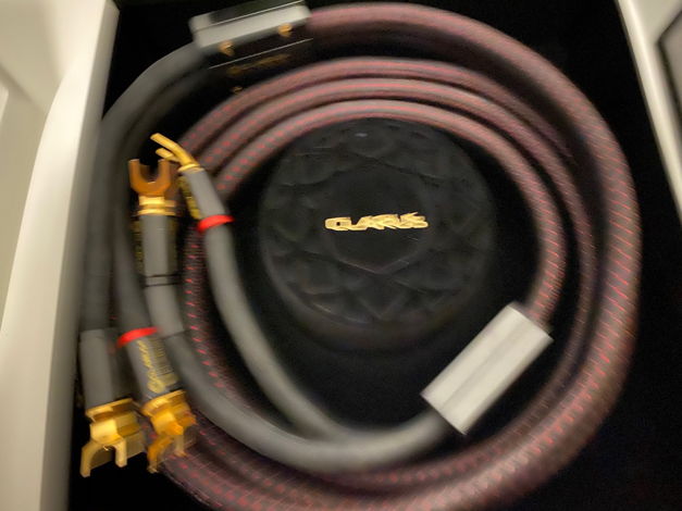 Clarus Crimson Speaker Cables 8ft - Awesome!