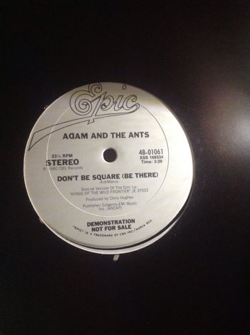 Adam And The Ants - Antmusic Epic Records Promo 12 Inch...