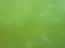 Raidho - D1.1 Monitors with Stands - Custom Green Color... 12