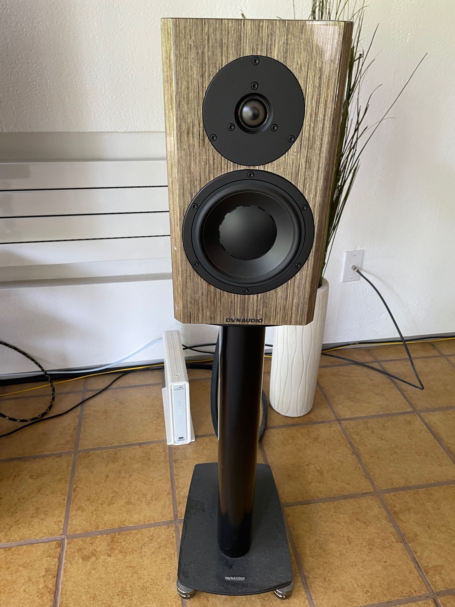 Dynaudio special 2024 forty grey