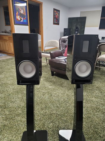 Raidho X1 Black With Stands